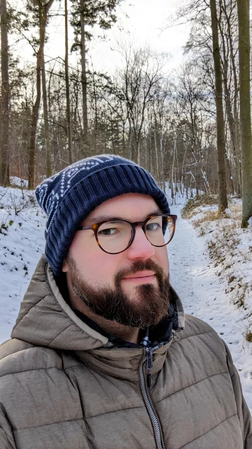 Just a snowy day in the woods