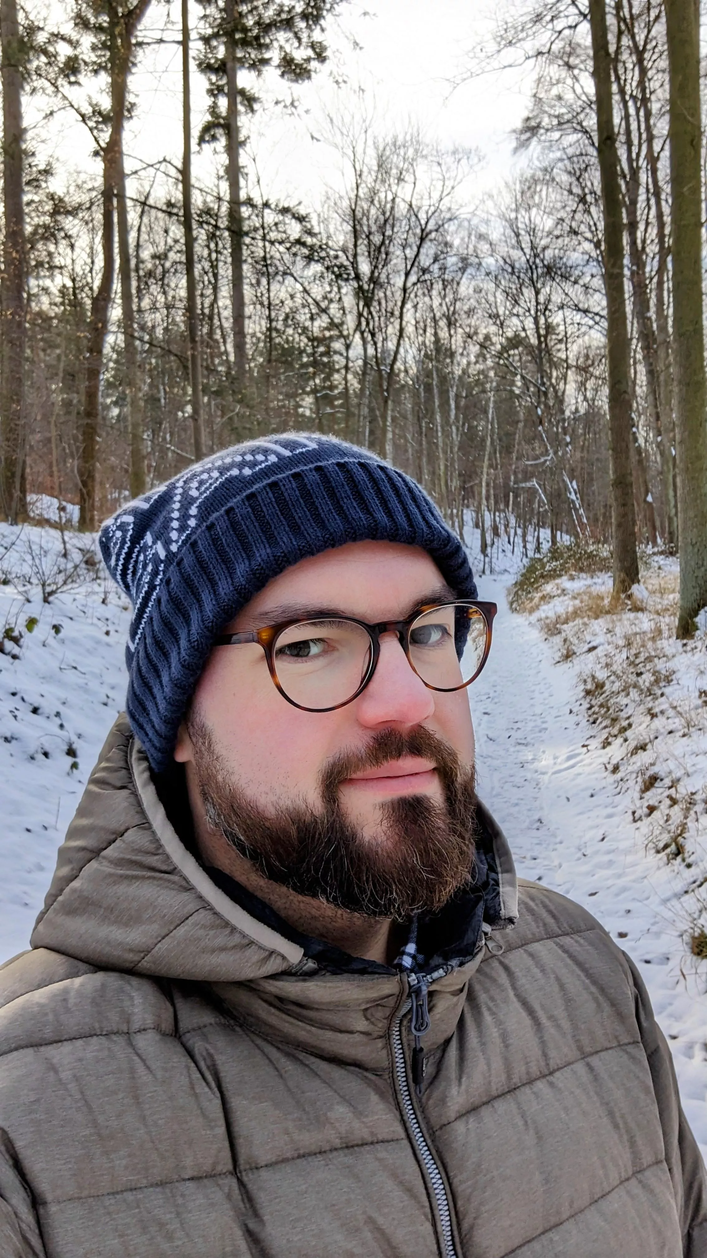 Just a snowy day in the woods