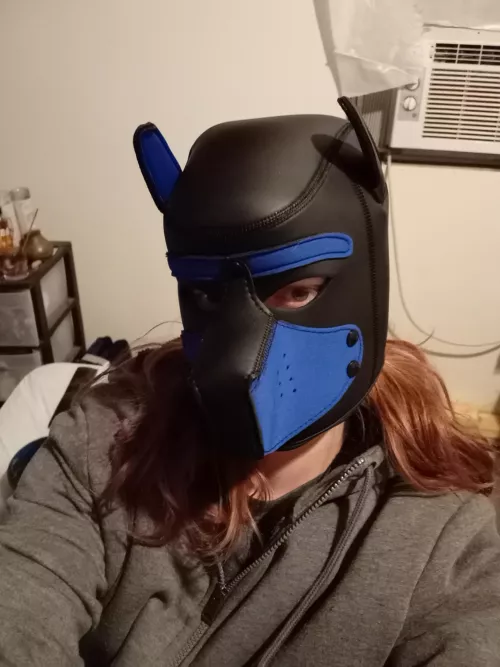 Just got my own pup mask!! How do I look?