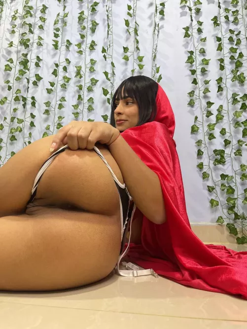 Little Red Riding Hood is looking for a wolf