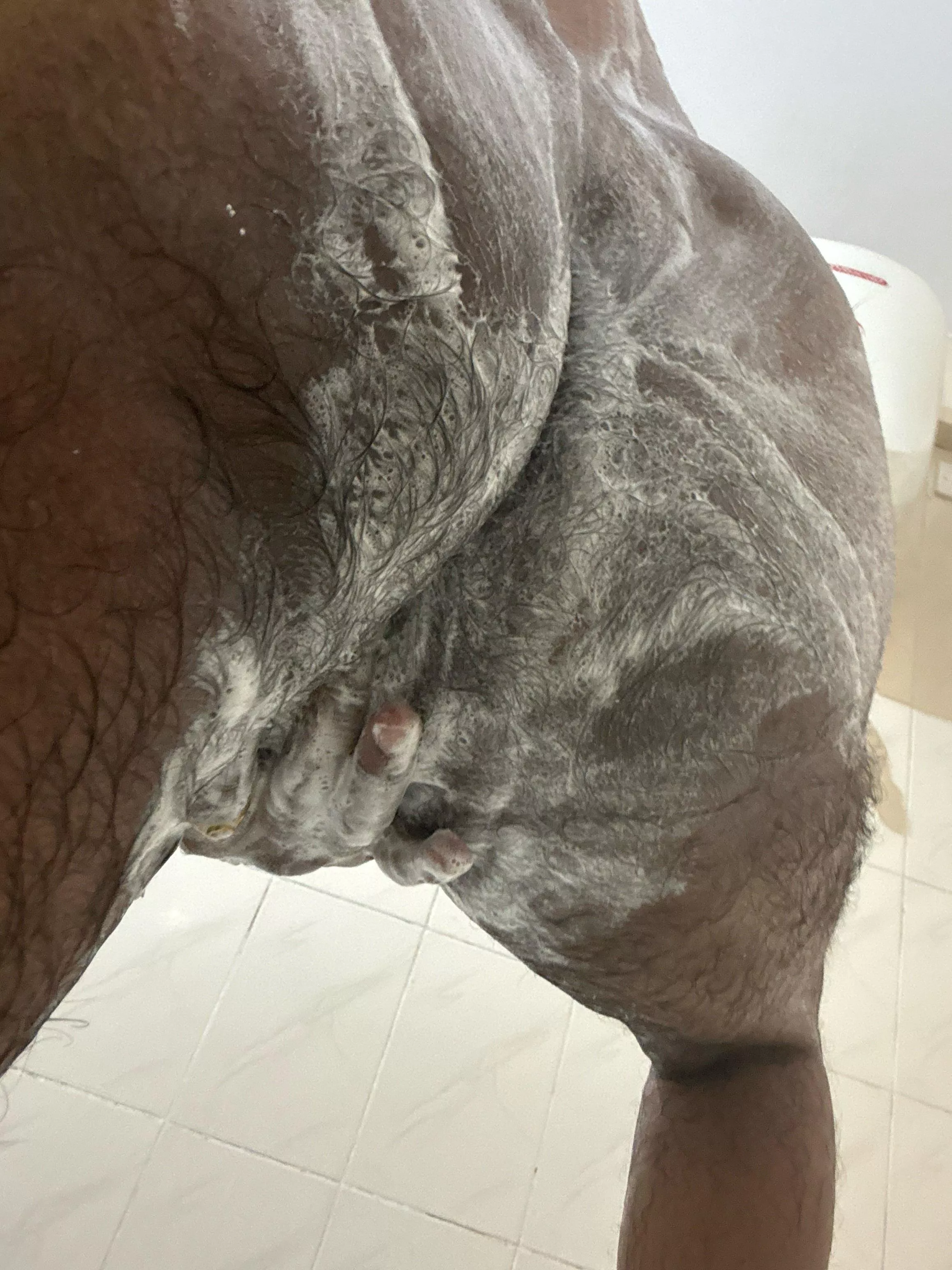 Oh it’s all lathered up