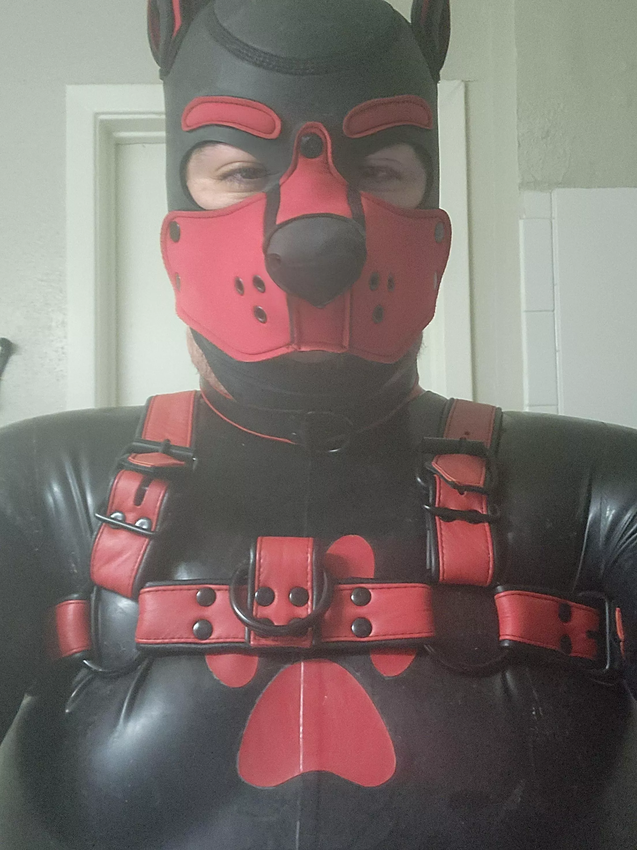 Pups First Suit!