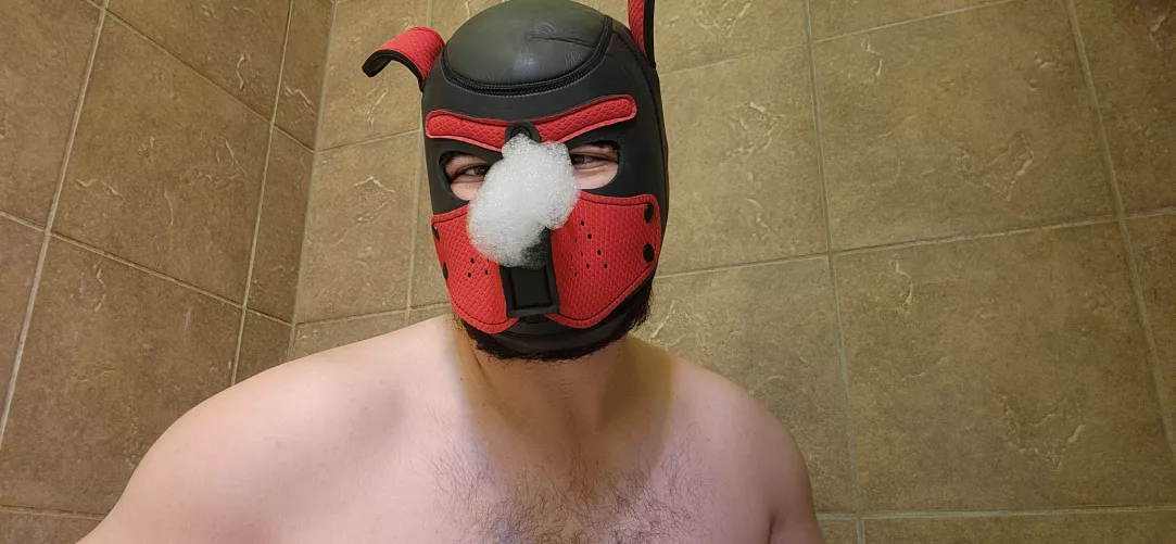 Rub a dub dub, pup in da tub