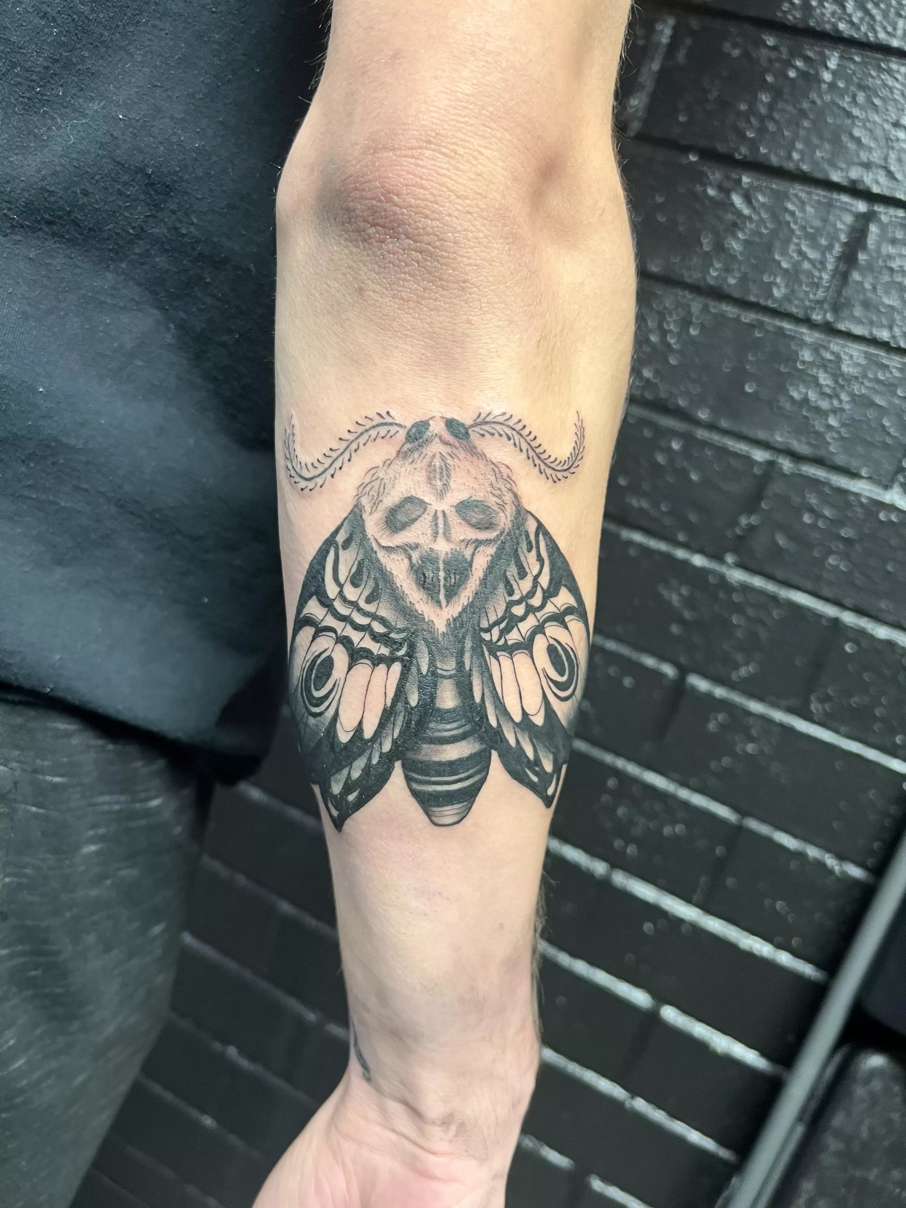 The new tattoo came out amazing