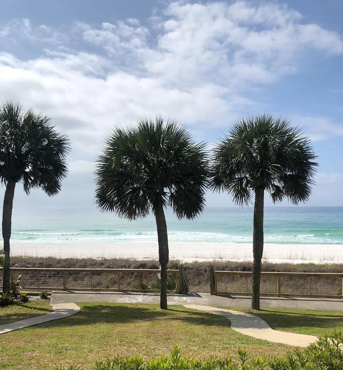 The palm trees lined by the beach take my breath away every time I see it OC