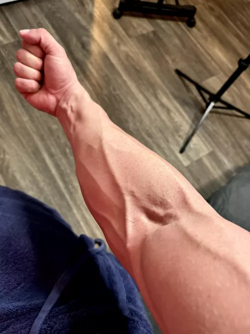 The veins be veining