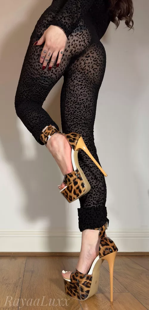 Theses heels are perrrfection