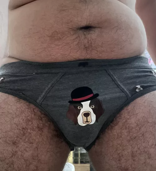 Think I got the perfect pup briefs 😂