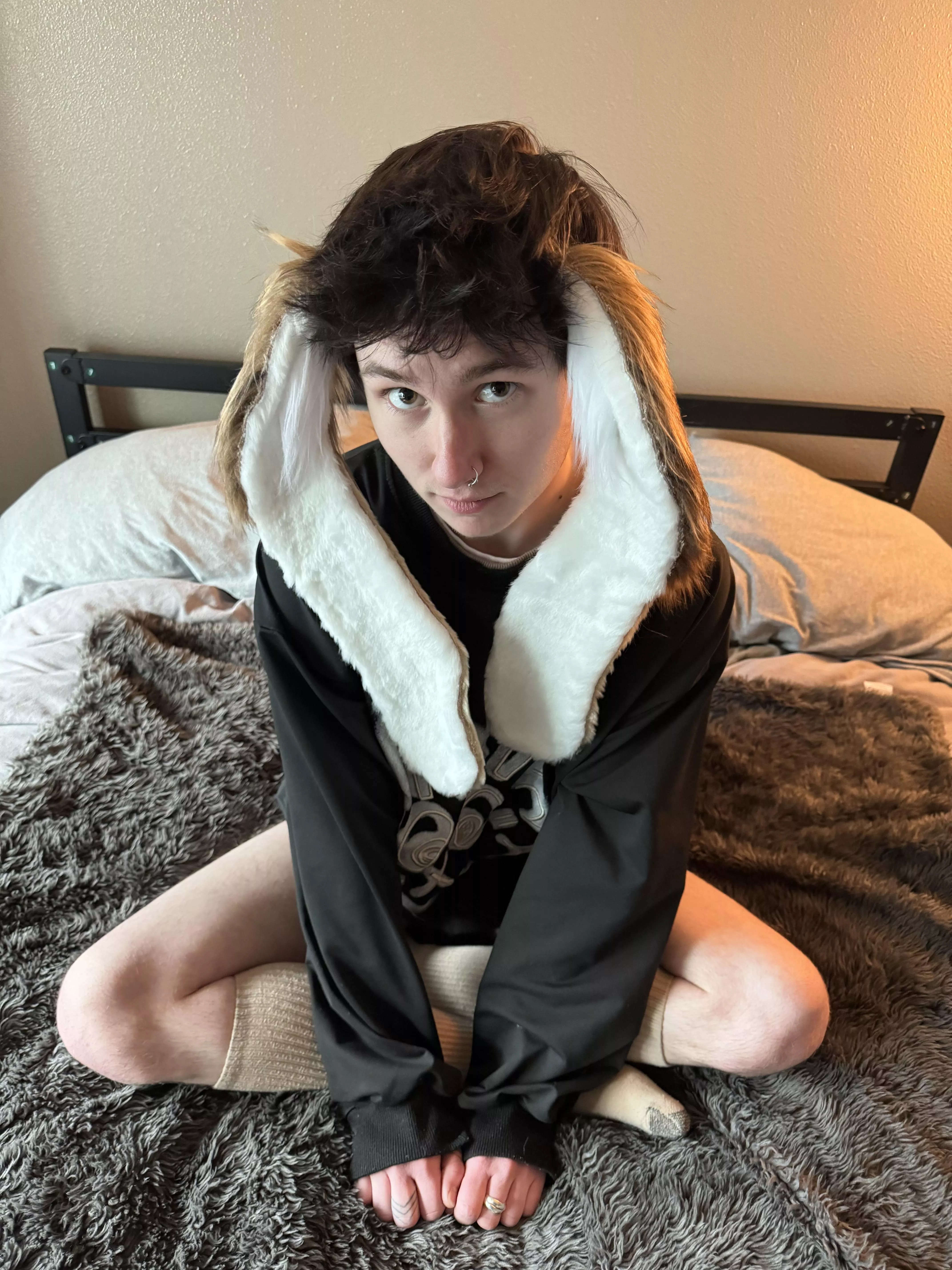 this little bunny boy needs to bounce~ you letting him hop on for a ride?