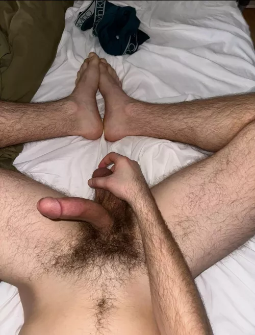 Thoughts on my hairy penis?