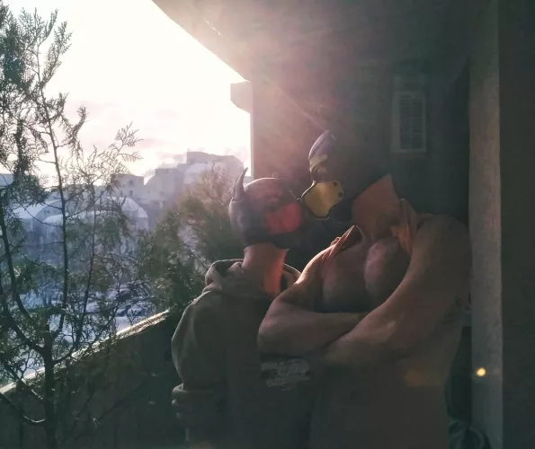 Two pups on a winter morning