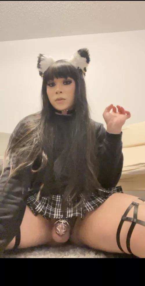 Years of being degraded, humiliated, and sissy hypno: