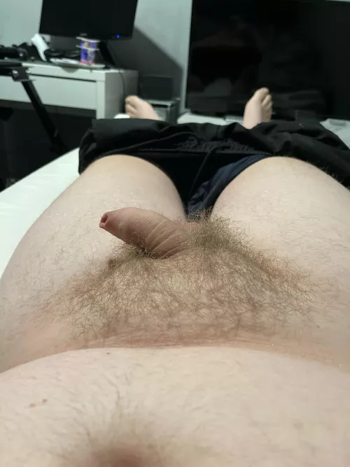 You like my small chubby cock bby xx