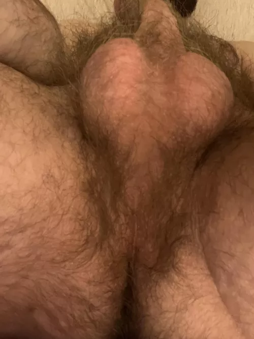 Your face in my taint - deal?