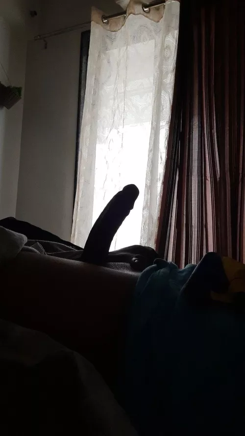 your morning view 🪵