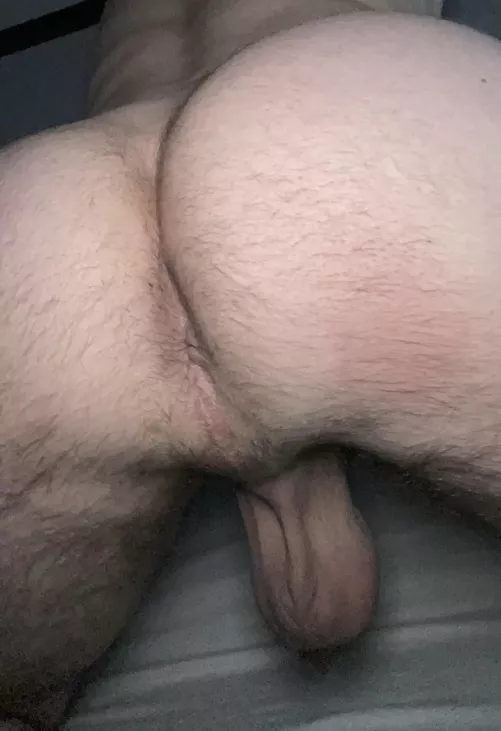 28. Hoping to find myself a hairy daddy/bro to use me. DM for snap