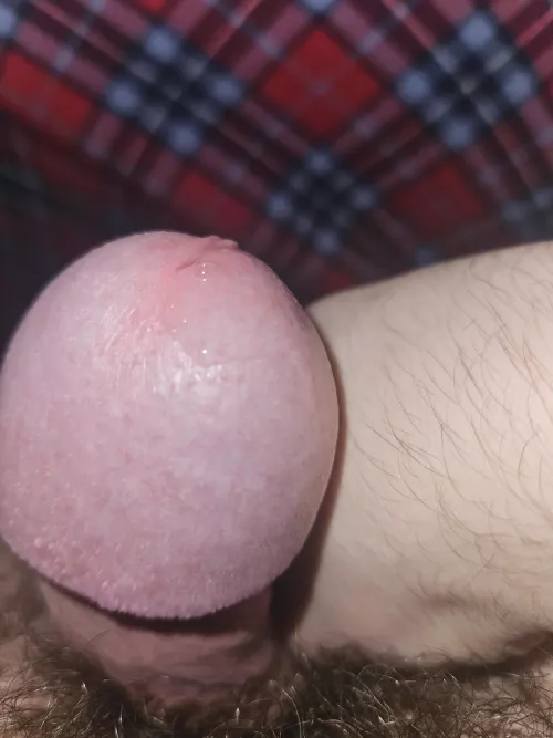 A fresh load is brewing 🤤