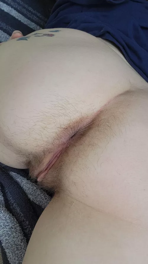 A little hairy everywhere