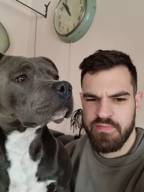 Any dog lovers here?