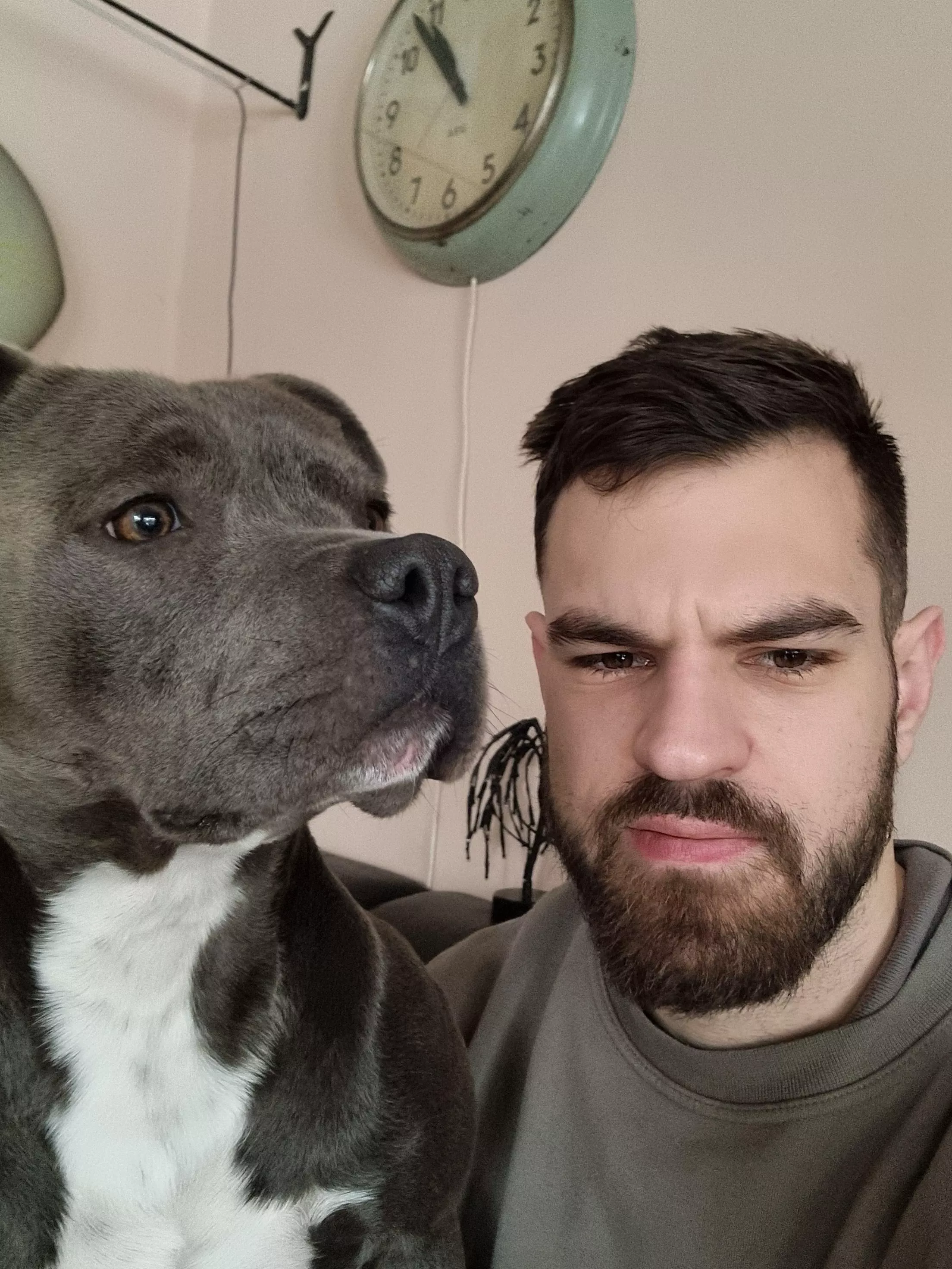 Any dog lovers here?