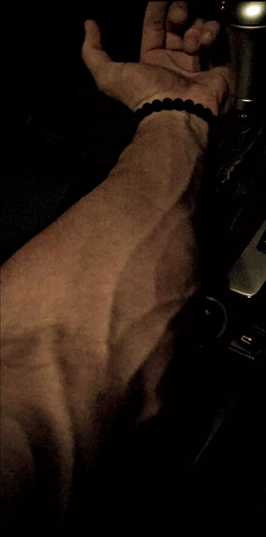 applications open for a passenger princess