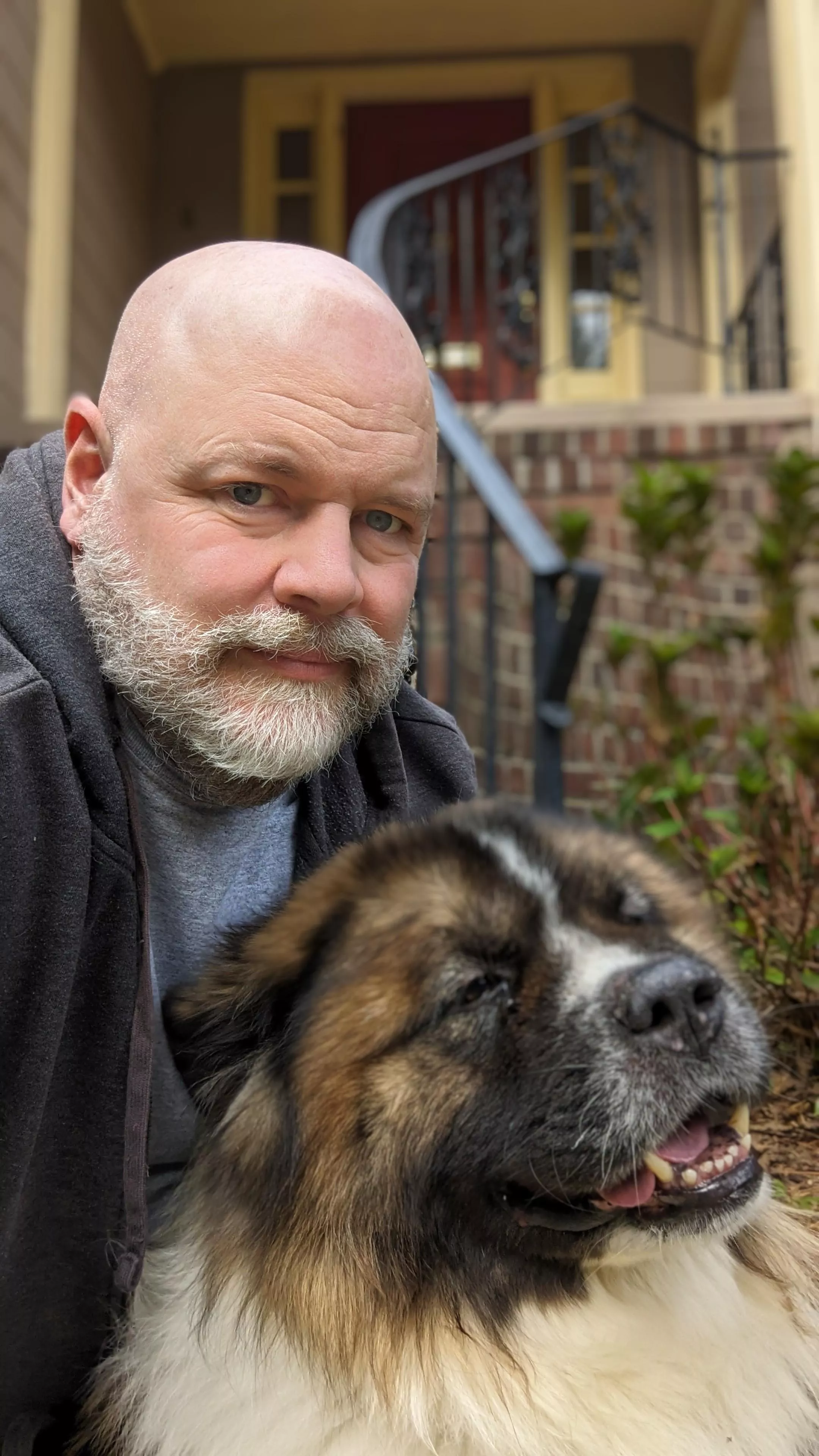 Daddy bear in Virginia