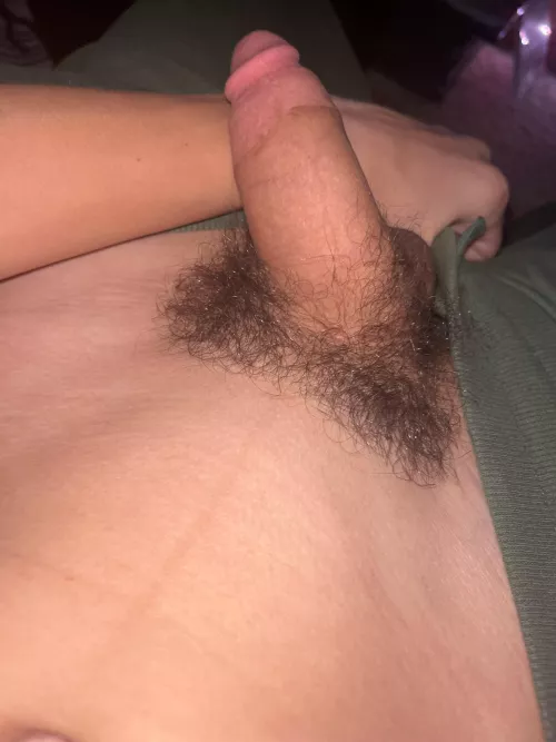 DM me for the full thing