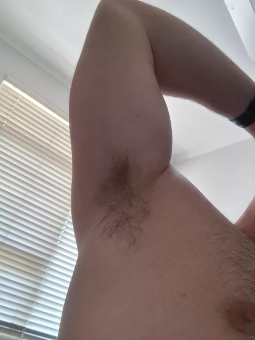 Finding it so hard to concentrate right now. Just want someone to indulge in my musk