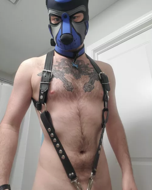 First piece of leather. How does it look?