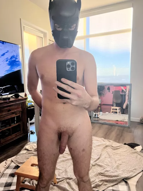 First time coming out, hello I am Stud!