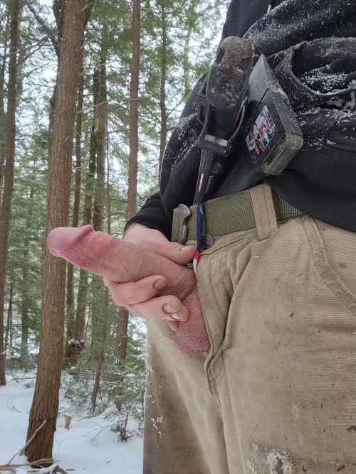 Frosty forest cock