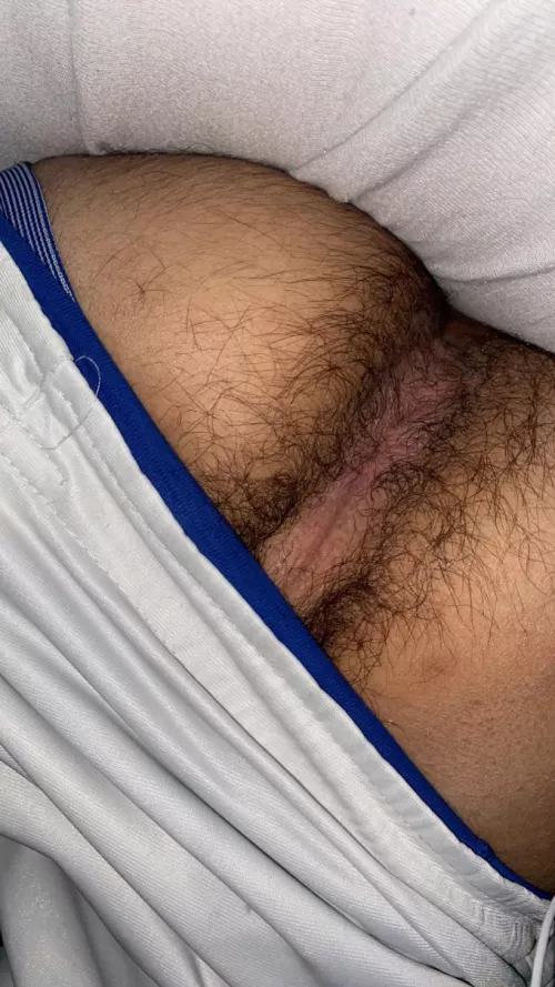 Hairy moroccan ass / 18 year old