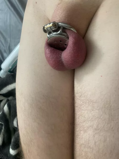 how does my clitty look?