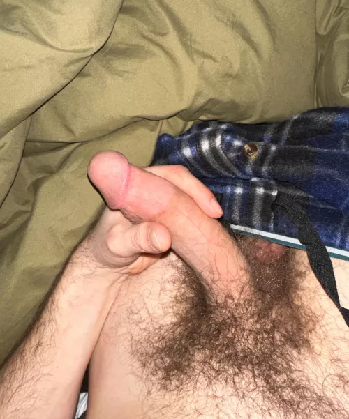 Is my hairy cock worthy of being here