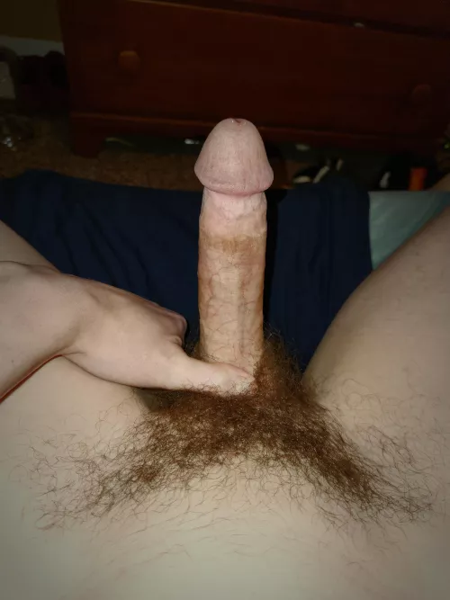 Just a dick pic