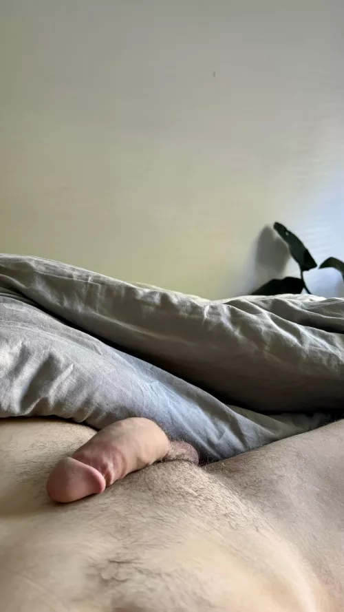 kinda like the morning sun in my cock … do you??