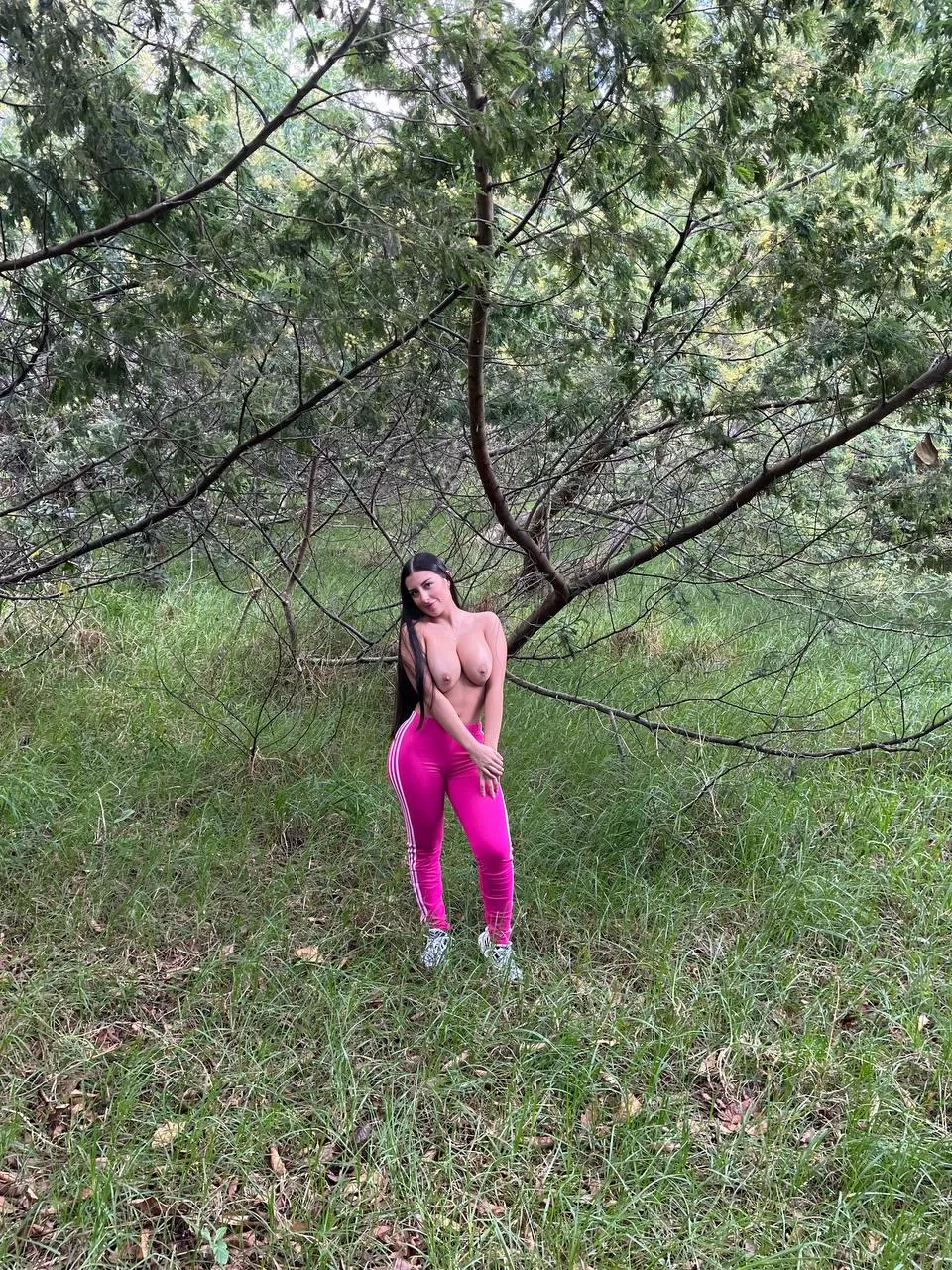 Let's have some workouts here in the woods