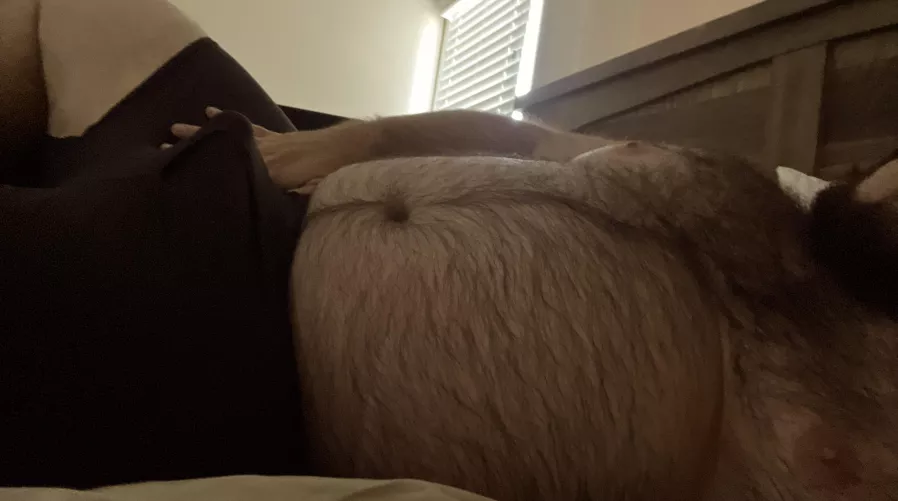 My plan is to do absolutely nothing today. With the exception…. 32M