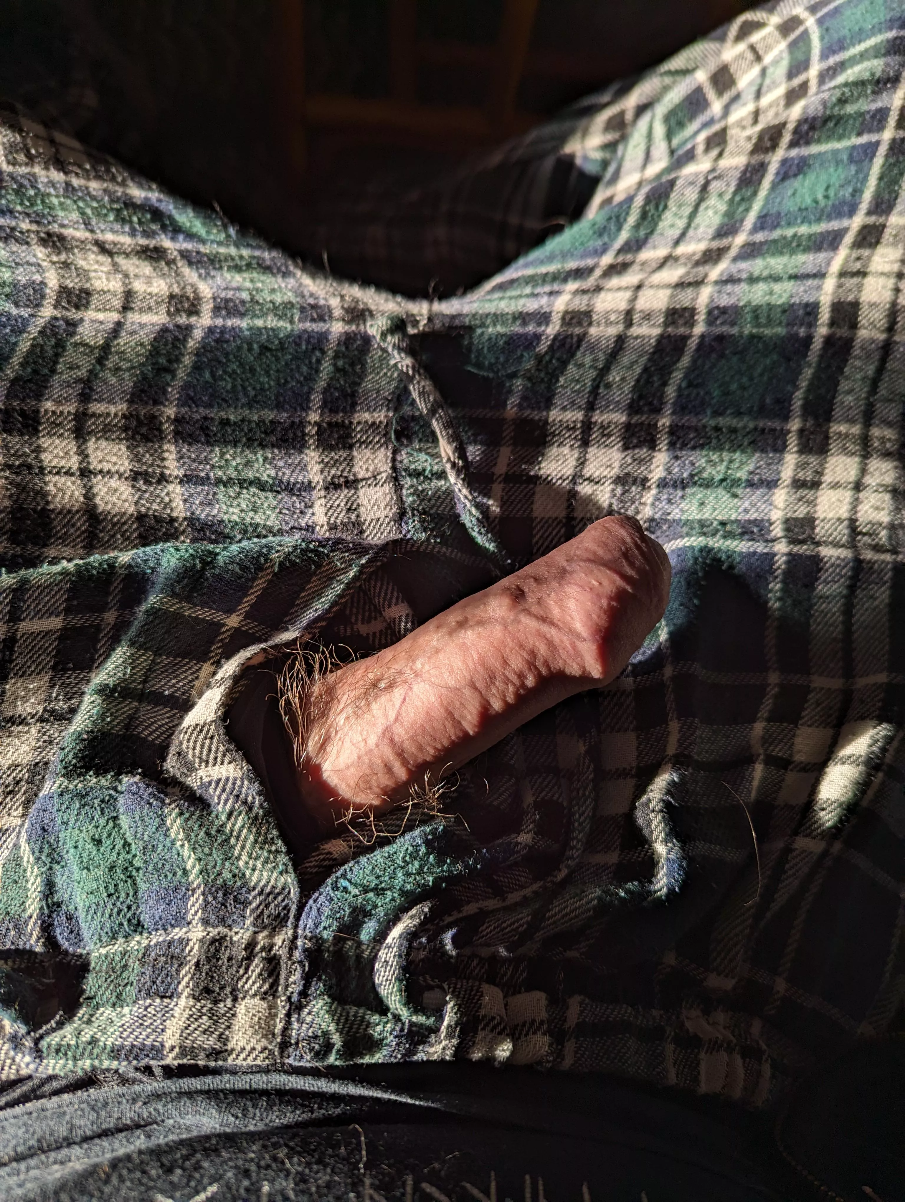 My sunbathing softie