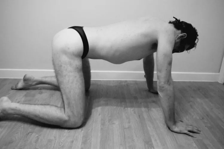 On all fours...