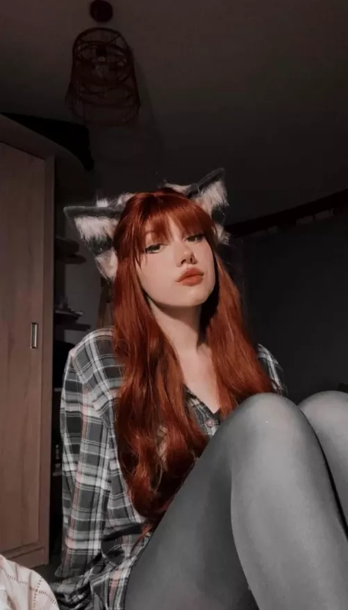 Pet me 🦊🐾