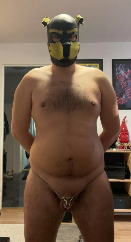 So happy to have finally found an owner that keeps me locked in place 🥰