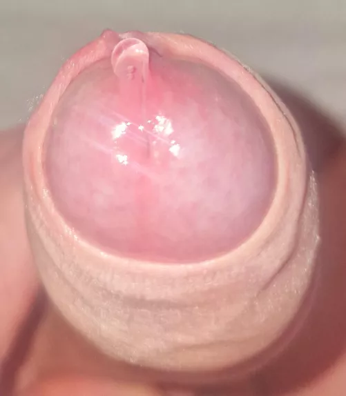 Sunday morning nectar of life