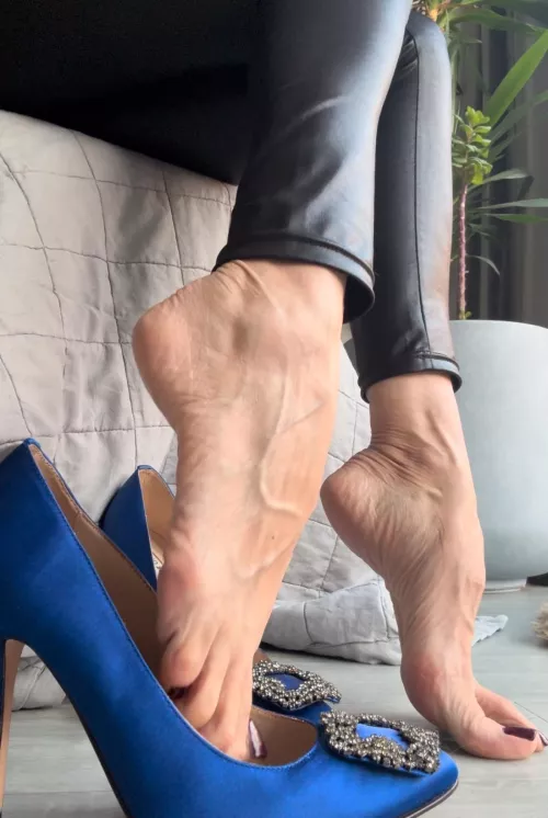 Veins and arches. Run your tongue along them