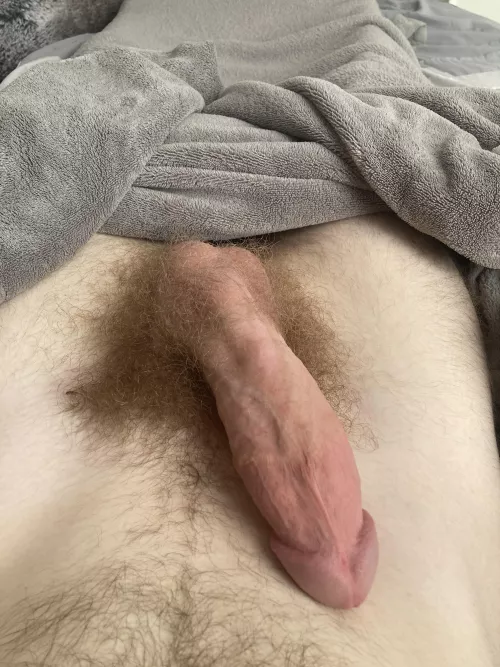 when the happy trails leads to a big bush