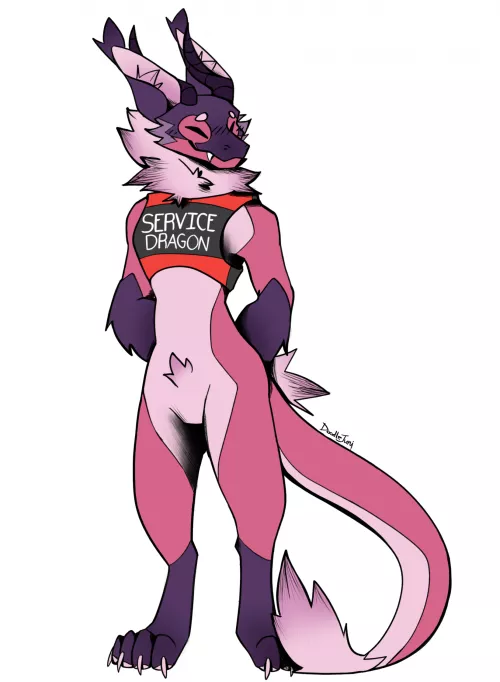 Your service derg is here! - By Me