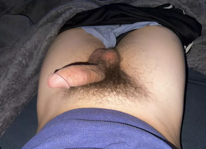 [24] What would you rate my bush?