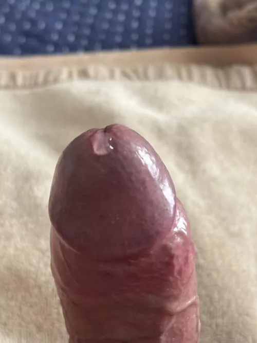 (50) a promising start