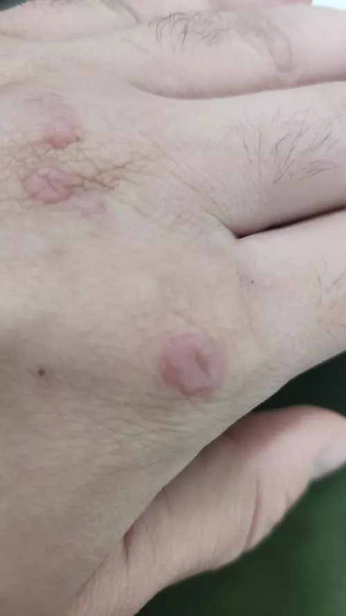 Anyone know what this could be