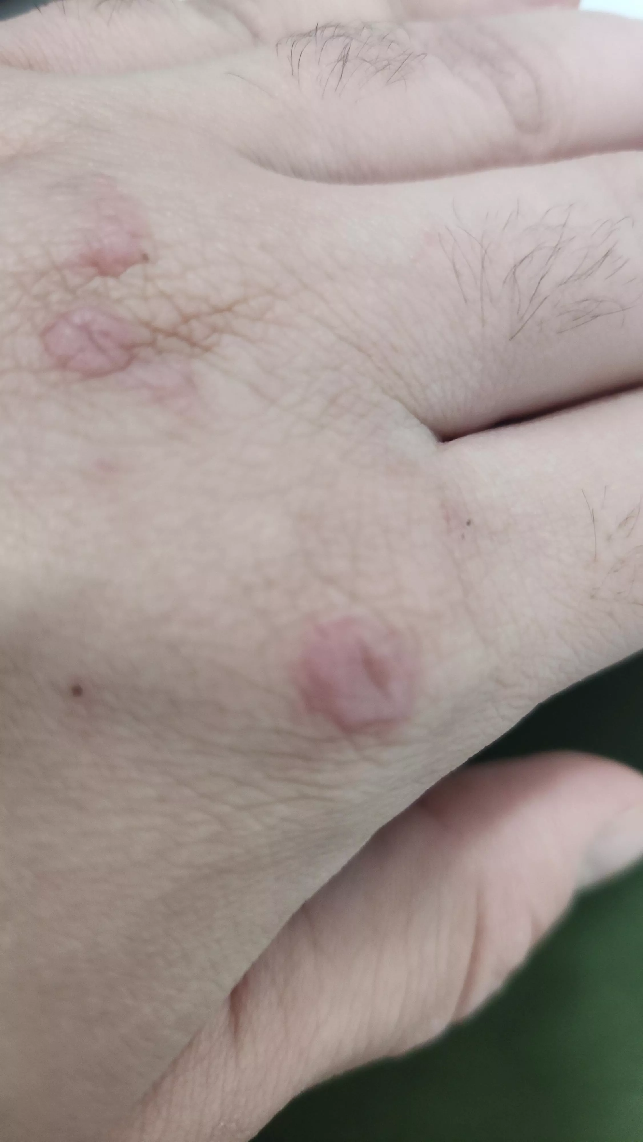 Anyone know what this could be